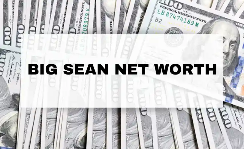 Big Sean Net Worth