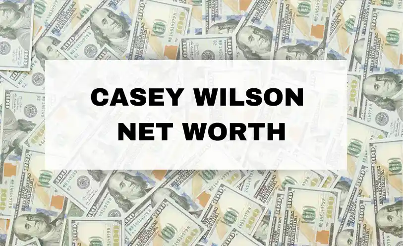 Casey Wilson Net Worth