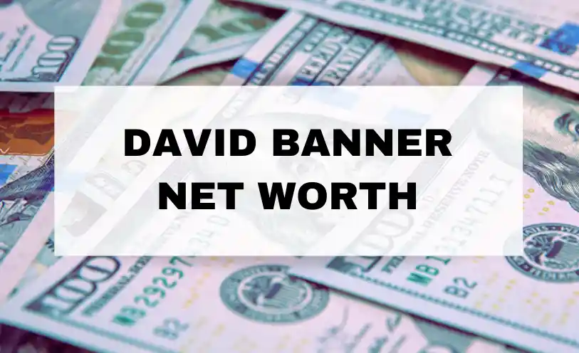 David Banner Net Worth