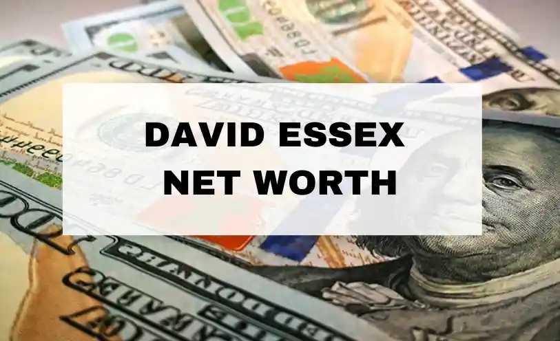 David Essex Net Worth