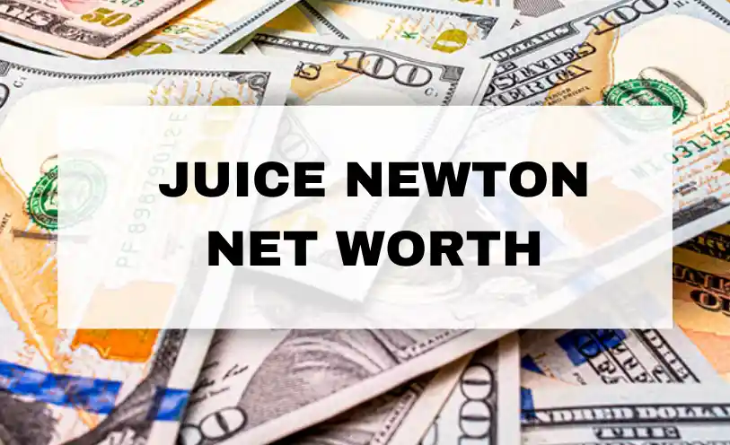 Juice Newton Net Worth