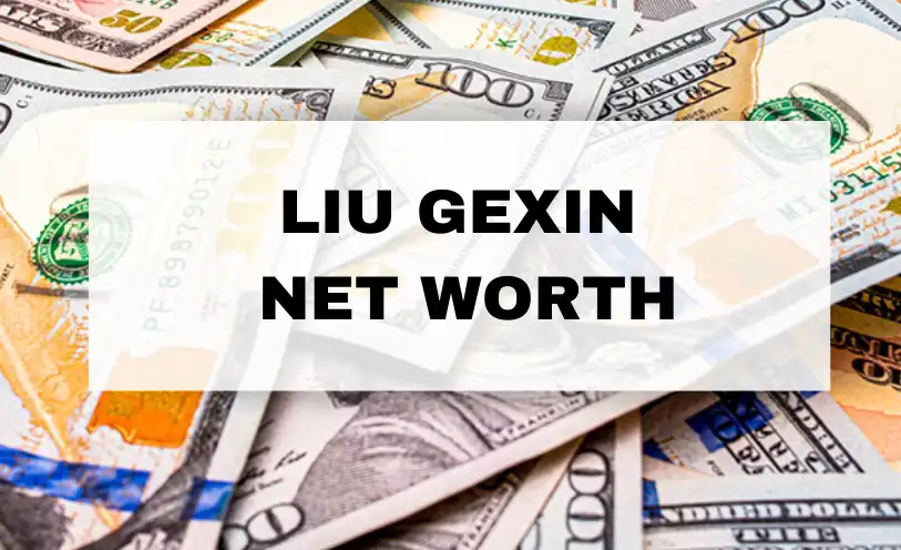 Liu Gexin Net Worth
