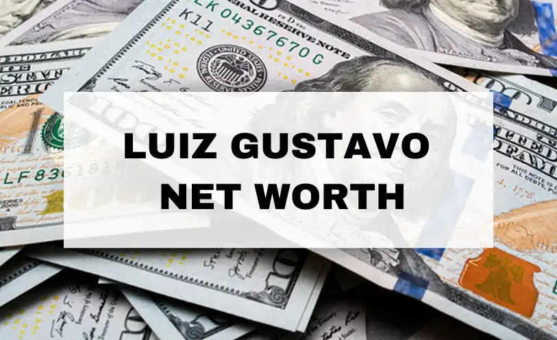 Luiz Gustavo Net Worth