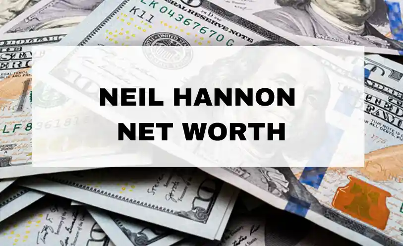 Neil Hannon Net Worth