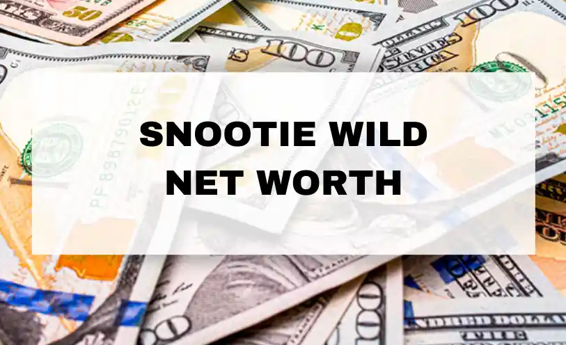 Snootie Wild Net Worth