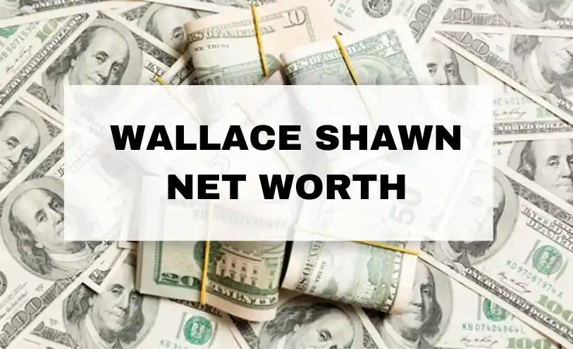 Wallace Shawn Net Worth