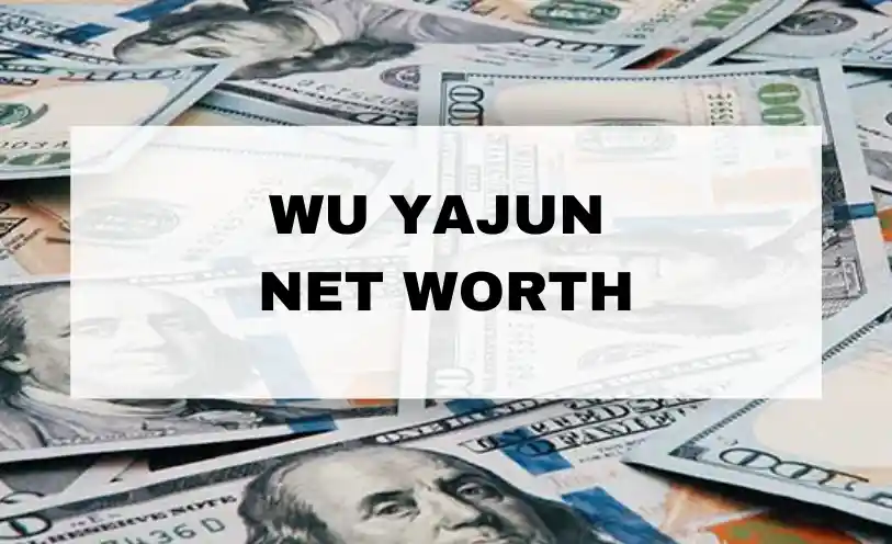 Wu Yajun Net Worth
